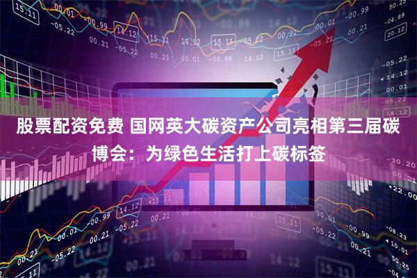 股票配资免费 国网英大碳资产公司亮相第三届碳博会：为绿色生活打上碳标签