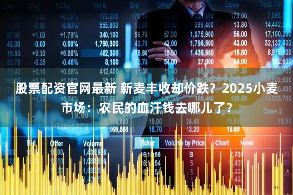 股票配资官网最新 新麦丰收却价跌？2025小麦市场：农民的血汗钱去哪儿了？